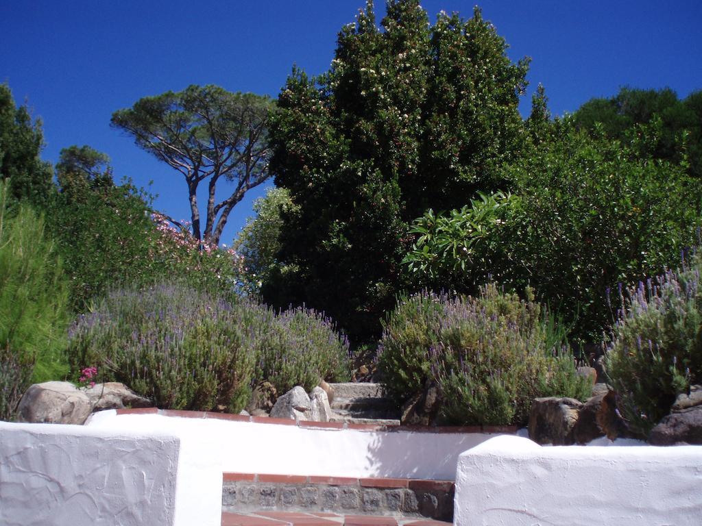 Kronendal Heritage Hout Bay